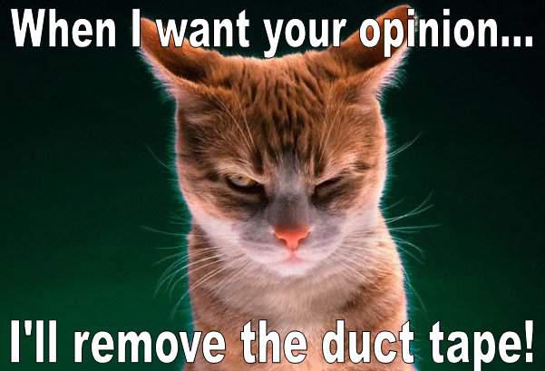 When I want your opinion... I'll remove the duct tape!
