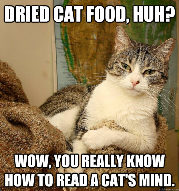 Dried cat food huh? Wow, you really know how to read a cat's mind